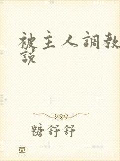 被主人调教的小说
