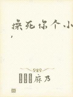 操死你个小骚货,