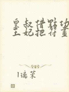 皇叔借点功德,王妃把符画猛了txt