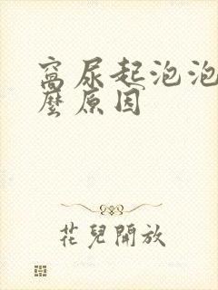 窝尿起泡泡是什么原因