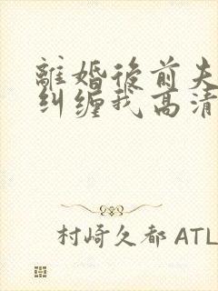 离婚后前夫总想纠缠我高清