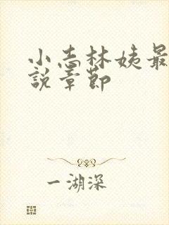 小志林姨最新小说章节