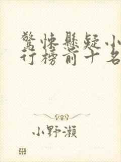 惊悚悬疑小说排行榜前十名