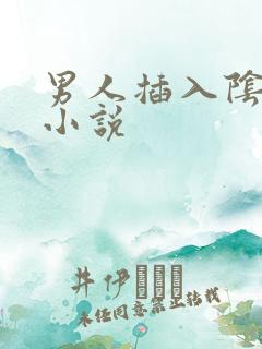 男人插入阴道爽小说