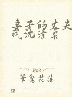 妻子的丈夫不是我沈清柔