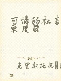 可怜的社畜作家东度日