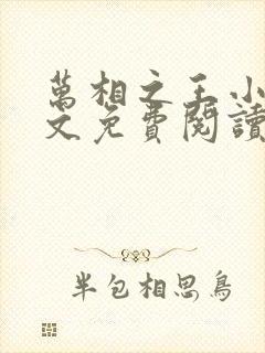 万相之王小说全文免费阅读无弹窗