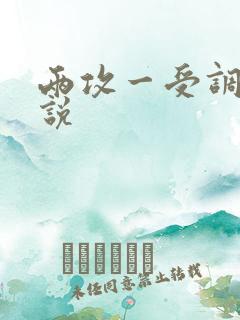 两攻一受调教小说