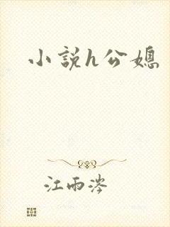 小说h公媳