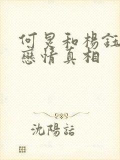 何炅和杨钰莹的恋情真相