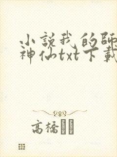 小说我的师傅是神仙txt下载