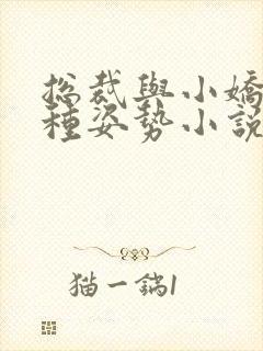 总裁与小娇妻各种姿势小说