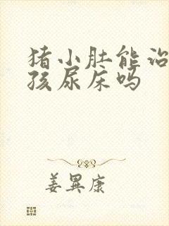 猪小肚能治疗小孩尿床吗