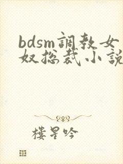 bdsm调教女奴总裁小说