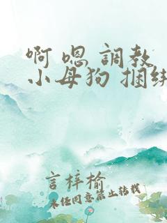 啊 嗯 调教 小母狗 捆绑 bdsm主人