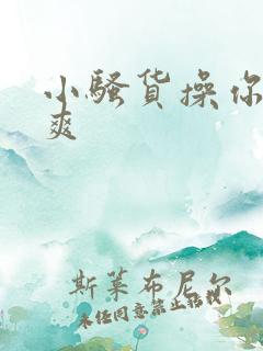 小骚货操你爽不爽