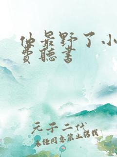 他最野了小说免费听书