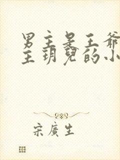 男主是王爷叫女主玥儿的小说