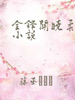 金锋关晓柔穿越小说