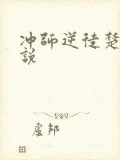 冲师逆徒楚休小说