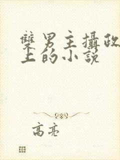 双男主摄政王皇上的小说