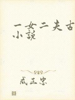 一女二夫古言情小说