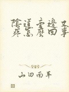 阴道旁边又肿又疼怎么回事