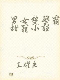 男女双学霸校园甜宠小说