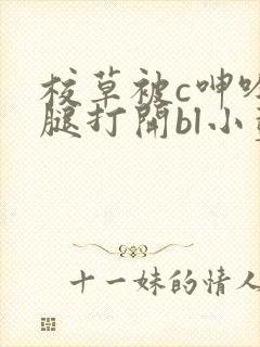 校草被c呻吟双腿打开bl小蓝