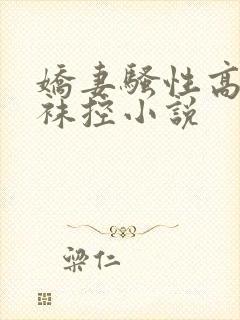 娇妻骚性高跟丝袜控小说