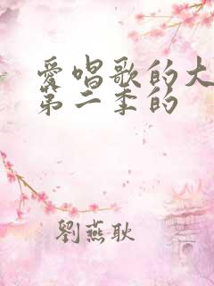 爱唱歌的大姐姐第二季的