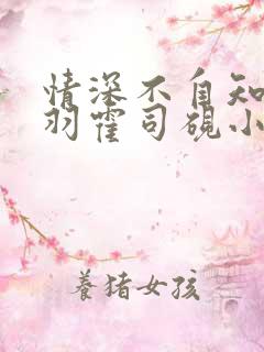 情深不自知温知羽霍司砚小说