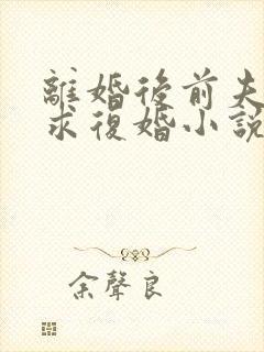 离婚后前夫哭着求复婚小说免费完整观看