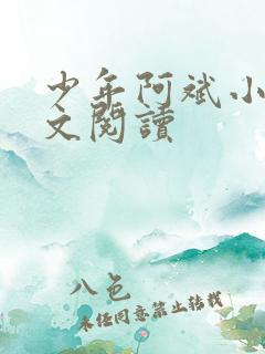 少年阿斌小说全文阅读