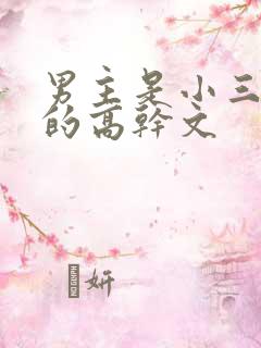 男主是小三上位的高干文