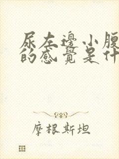 尿左边小腹胀胀的感觉是什么原因