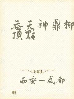 吞天神鼎柳无邪顶点