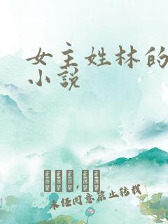 女主姓林的穿越小说