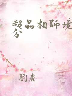 超品相师境界划分