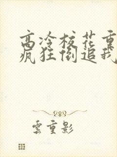 高冷校花重生了疯狂倒追我小说