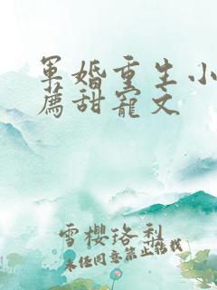 军婚重生小说推荐甜宠文