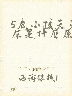 5岁小孩天天尿床是什么原因