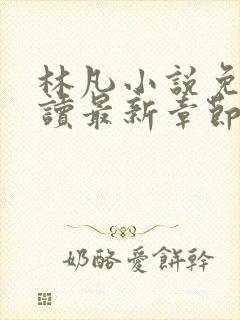 林凡小说免费阅读最新章节