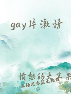 gay片激情