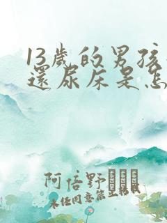 13岁的男孩子还尿床是怎么回事