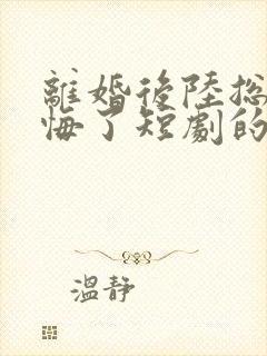 离婚后陆总他后悔了短剧的视频