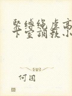 紧缚绳虐高潮地下室调教小说