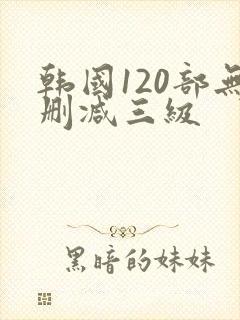 韩国120部无删减三级