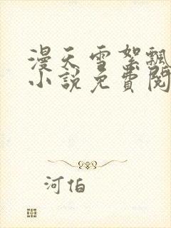 漫天雪絮飘红尘小说免费阅读