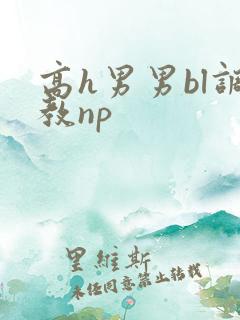 高h男男bl调教np